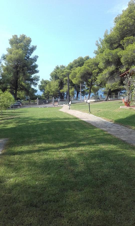 Sithonia Alekos Luxury Experience Apartment Metamorfosi  Exterior photo